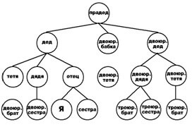 смешанное семейное древо